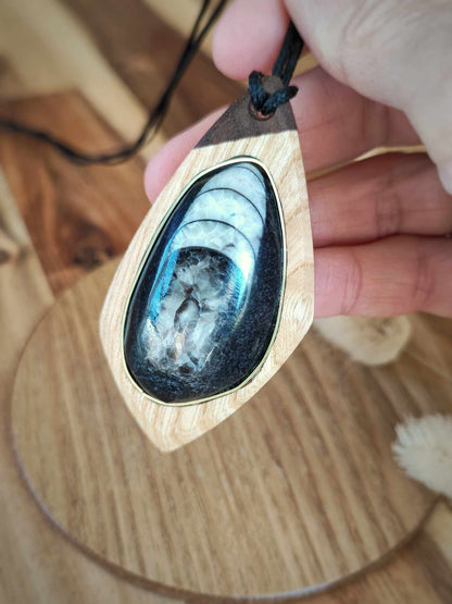 Ash Pendant with Orthoceras Fossil and Walnut