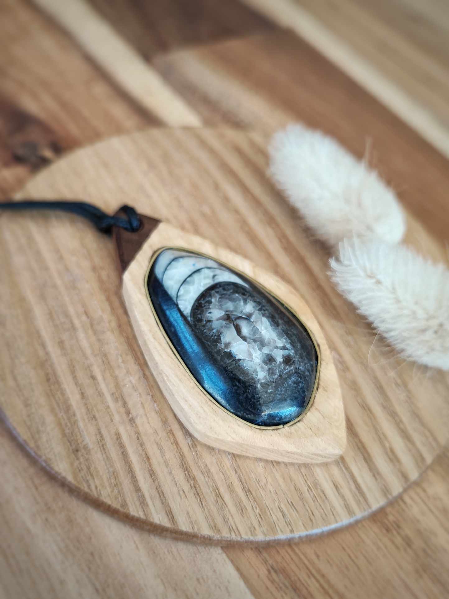 Ash Pendant with Orthoceras Fossil and Walnut